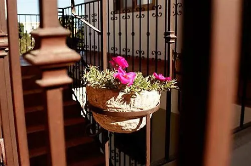 Cabo Cush Hotel Cabo San Lucas