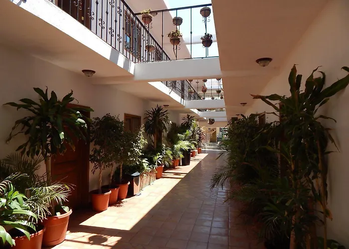 Cabo Cush Hotel