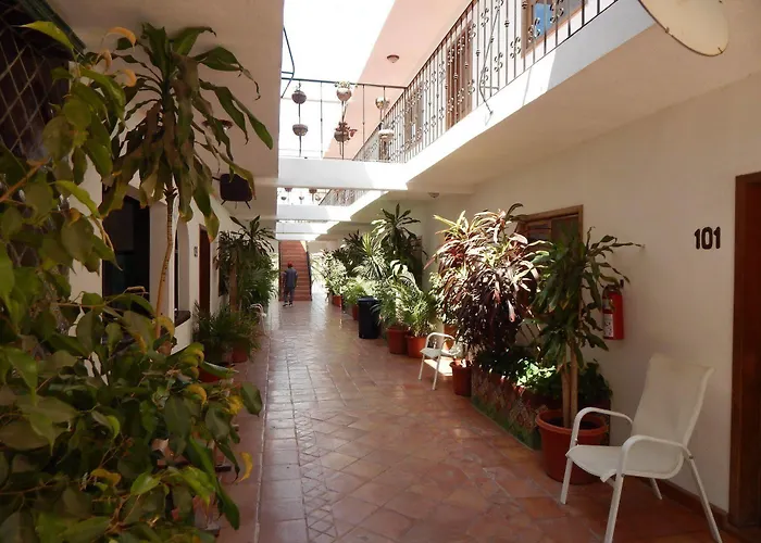 Hotel Cabo Cush Cabo San Lucas